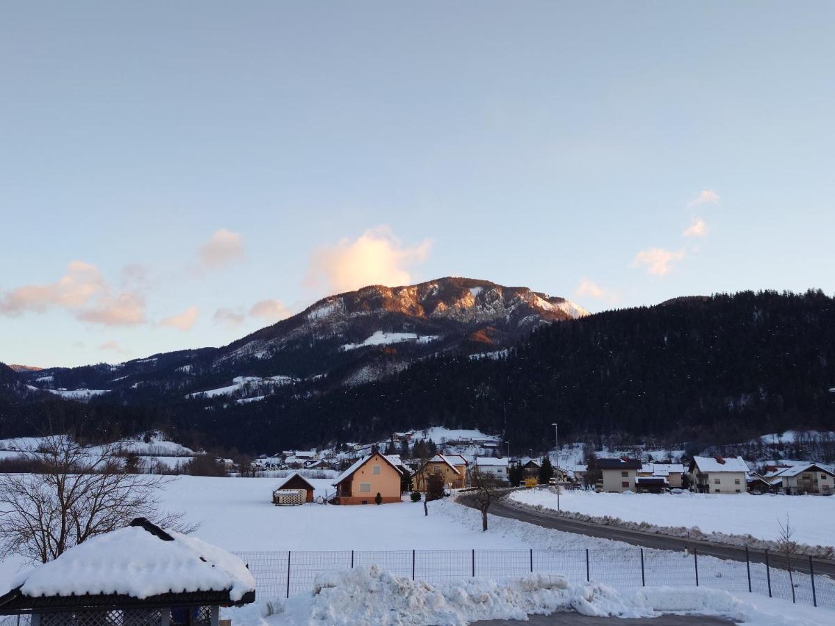 Apartmaji Ribic Ljubno Exterior foto